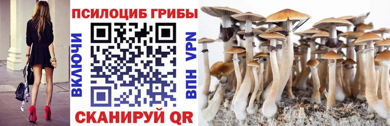 Галлюциногенные грибы MAGIC MUSHROOMS  сколько стоит  Эртиль 