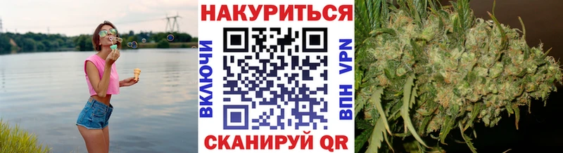 Конопля сатива  где купить   Эртиль 